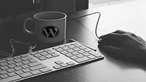 Learn How to Use WordPress4 in Easy Steps 