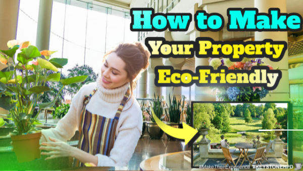 How to Make Your Property Eco-Friendly
